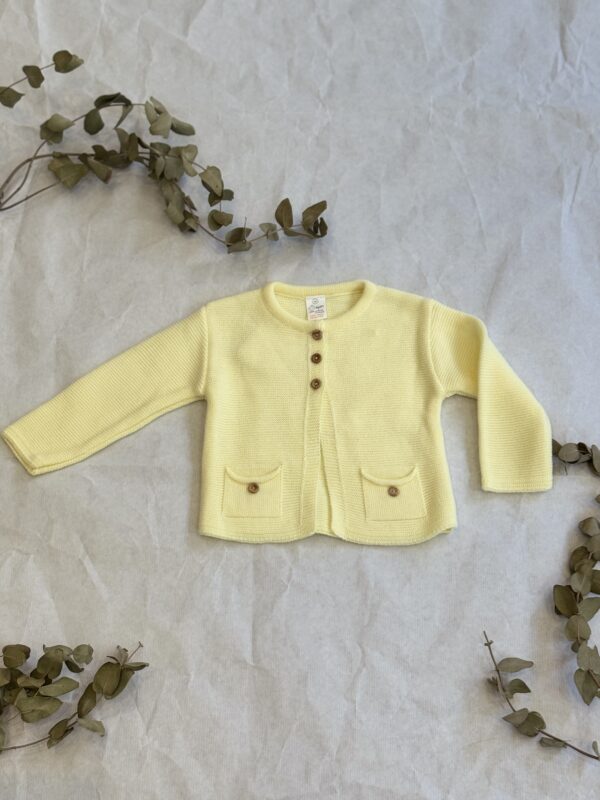Chaqueta básica Limón